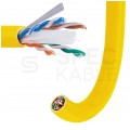 Kabel UTP kat.6 U/UTP 4x2x0,57 B2ca żółty LSOH Alantec