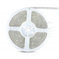 Taśma 150x LED 5050 4.8W/mb 3000K IP65 12V op=5m barwa WW biała ciepła V-TAC VT-5050