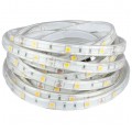 Taśma 150x LED 5050 4.8W/mb 6000K IP65 12V op=5m barwa CW biała zimna V-TAC VT-5050